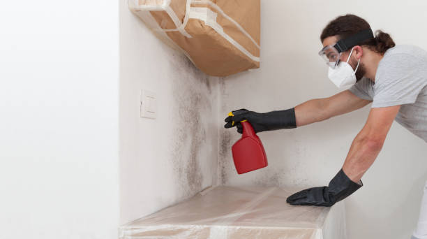 Professional Mold Remediation technician working in Newtonville, MA