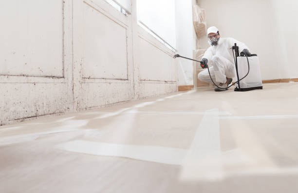 24/7 Emergency Mold Remediation experts in Newtonville, MA