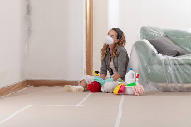 Reliable Mold Remediation contractor in Newtonville, MA by Mold Remediation HQ